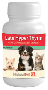 Late Hyper Thyrin - 100 Capsules